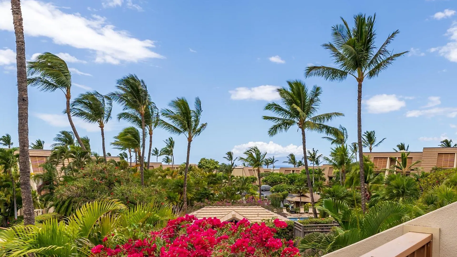 New Luxury, Family 2-2, Walk To Beach, Ocean View Lsv12 Wailea  USA